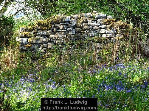 Spring in Glenfarne